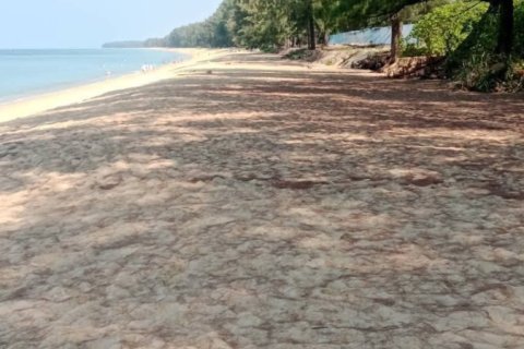 Земельный участок в Май Кхао, Таиланд 44800м2  № 152728 - фото 9