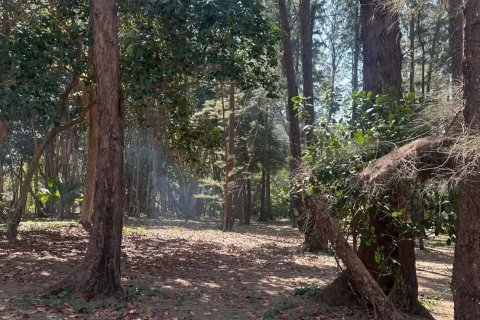 Земельный участок в Май Кхао, Таиланд 44800м2  № 152728 - фото 8