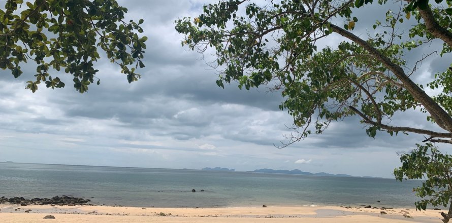 Land in Nuea Khlong, Thailand 10076 sq.m. № 148784