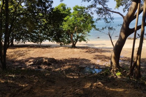 Land in Nuea Khlong, Thailand 10076 sq.m. № 148784 - photo 3