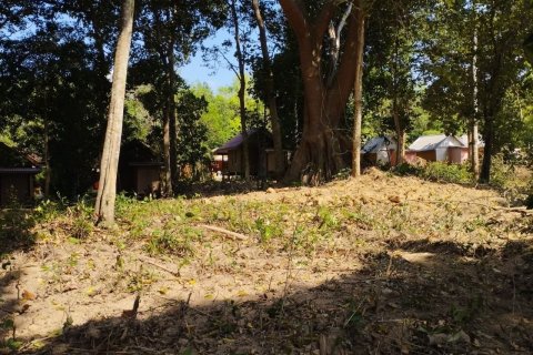 Land in Nuea Khlong, Thailand 10076 sq.m. № 148784 - photo 6