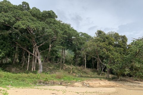 Land in Nuea Khlong, Thailand 10076 sq.m. № 148784 - photo 5