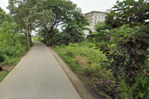 Terrain à San Sai, Thaïlande 33600 m2 № 149054 - photo 4