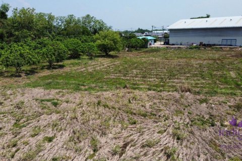 Коммерческая недвижимость в Чиангмае, Таиланд  № 162589 - фото 15