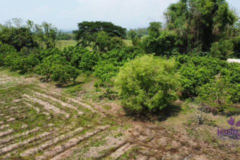 Коммерческая недвижимость в Чиангмае, Таиланд  № 162589 - фото 13