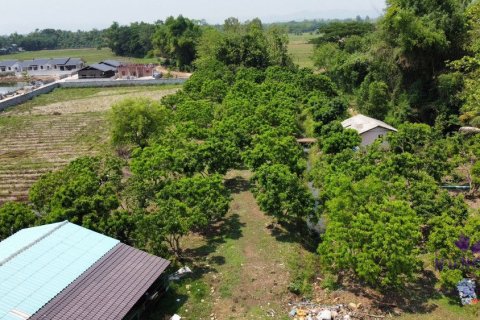 Коммерческая недвижимость в Чиангмае, Таиланд  № 162589 - фото 9