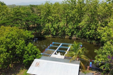 Коммерческая недвижимость в Чиангмае, Таиланд  № 162589 - фото 10