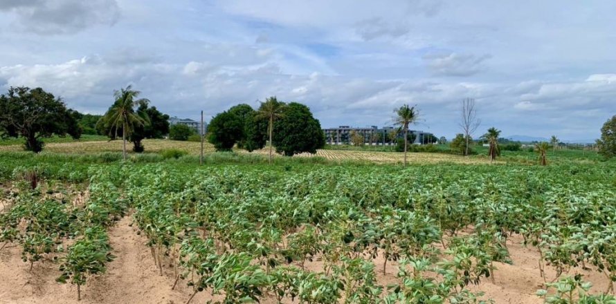 Terrain à Pattaya, Thaïlande № 114442