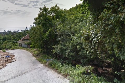 Terrain à Ko Samui, Thaïlande 4273 m2 № 145907 - photo 3