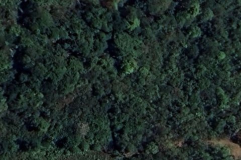 Terrain à Ko Samui, Thaïlande 4273 m2 № 145907 - photo 4