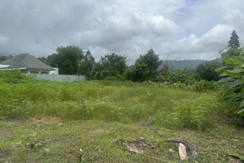 Terrain à Phuket, Thaïlande 1600 m2 № 164477 - photo 3