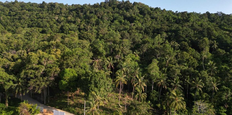 Terrain à Ko Samui, Thaïlande 1600 m2 № 162163