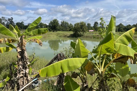 Land in Ubon Ratchathani, Thailand 27200 sq.m. № 149282 - photo 14