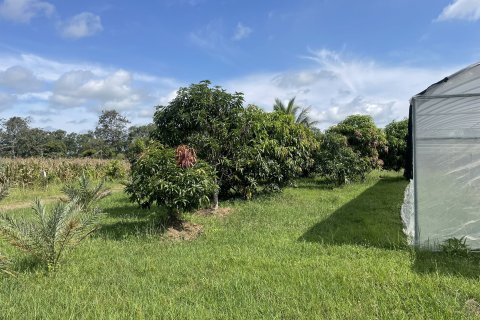 Land in Ubon Ratchathani, Thailand 27200 sq.m. № 149282 - photo 4