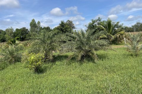 Land in Ubon Ratchathani, Thailand 27200 sq.m. № 149282 - photo 5