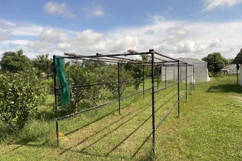 Land in Ubon Ratchathani, Thailand 27200 sq.m. № 149282 - photo 13