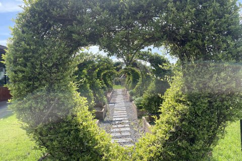 Land in Ubon Ratchathani, Thailand 27200 sq.m. № 149282 - photo 12