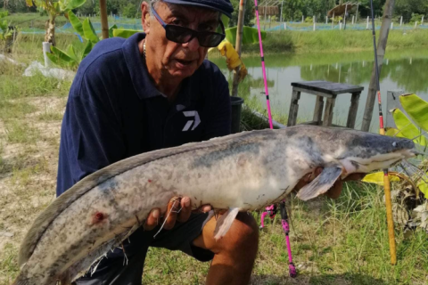 Land in Ubon Ratchathani, Thailand 27200 sq.m. № 149282 - photo 1