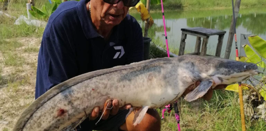 Land in Ubon Ratchathani, Thailand 27200 sq.m. № 149282