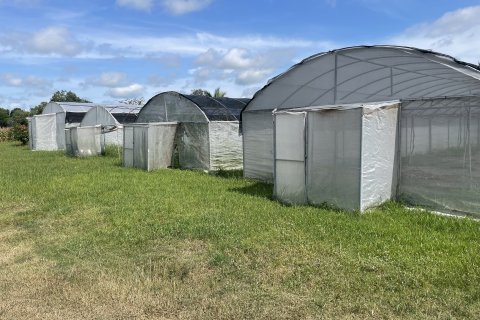 Land in Ubon Ratchathani, Thailand 27200 sq.m. № 149282 - photo 2