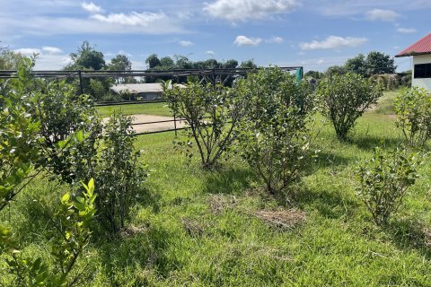 Land in Ubon Ratchathani, Thailand 27200 sq.m. № 149282 - photo 6