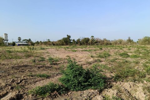 Земельный участок в Чайнате, Таиланд 28764м2 № 164483 - фото 4