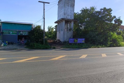 Земельный участок в Чайнате, Таиланд 28764м2 № 164483 - фото 8