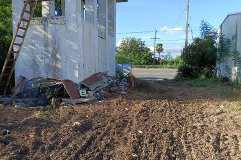 Земельный участок в Чайнате, Таиланд 28764м2 № 164483 - фото 7