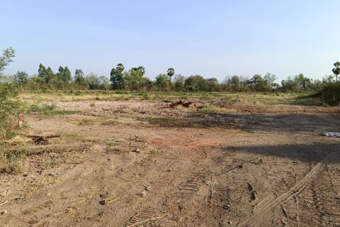 Земельный участок в Чайнате, Таиланд 28764м2 № 164483 - фото 9