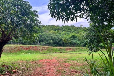 Terrain à Hua Hin, Thaïlande 2732 m2 № 171236 - photo 4