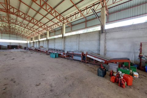 Склад в Чианграе, Таиланд  № 167349 - фото 8