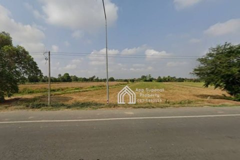 Terrain à Pho Thong, Thaïlande 8000 m2 № 158168 - photo 4