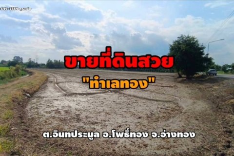 Terrain à Pho Thong, Thaïlande 8000 m2 № 158168