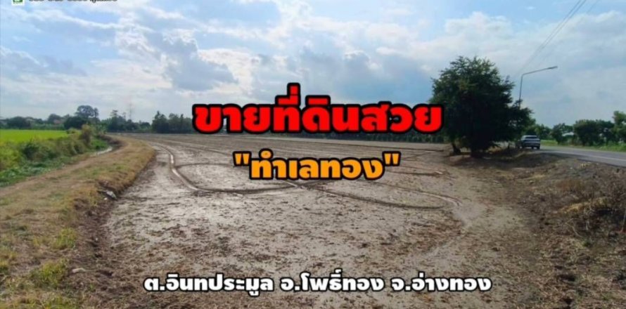 Terrain à Pho Thong, Thaïlande 8000 m2 № 158168