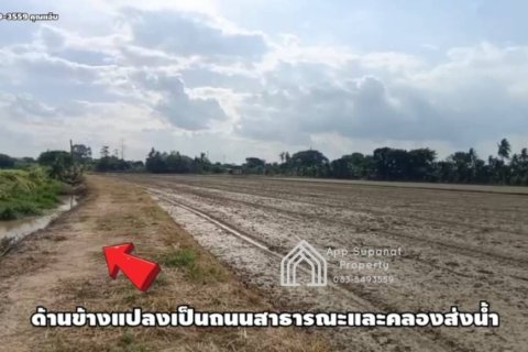 Terrain à Pho Thong, Thaïlande 8000 m2 № 158168 - photo 5