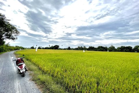 Land in Suphanburi, Thailand 25600 sq.m. № 158169 - photo 4