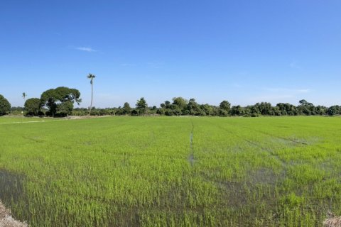 Land in Suphanburi, Thailand 25600 sq.m. № 158169 - photo 3