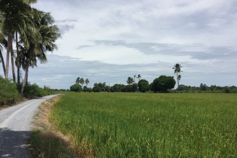 Terrain à Suphanburi, Thaïlande 25600 m2 № 158169