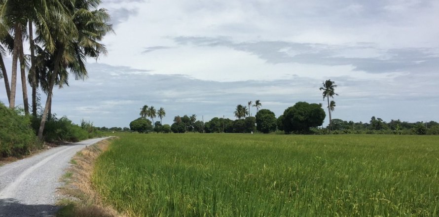 Land in Suphanburi, Thailand 25600 sq.m. № 158169