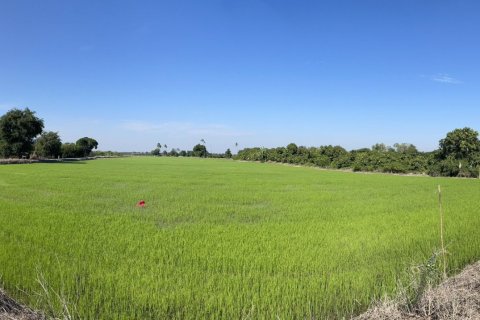 Land in Suphanburi, Thailand 25600 sq.m. № 158169 - photo 2