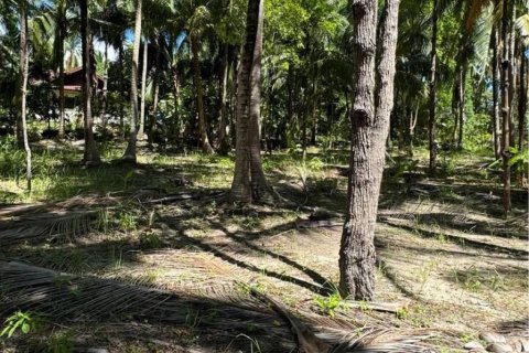 Land in Surat Thani, Thailand № 114541 - photo 4