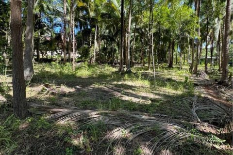 Land in Surat Thani, Thailand № 114541 - photo 2