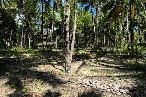 Land in Surat Thani, Thailand № 114541 - photo 3