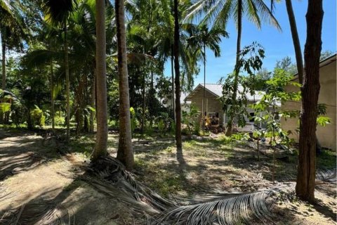 Land in Surat Thani, Thailand № 114541 - photo 1