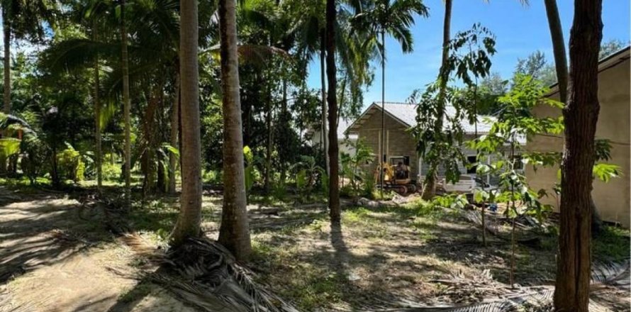 Land in Surat Thani, Thailand № 114541