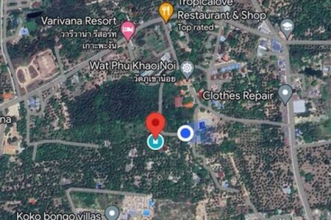 Land in Surat Thani, Thailand № 114541 - photo 5