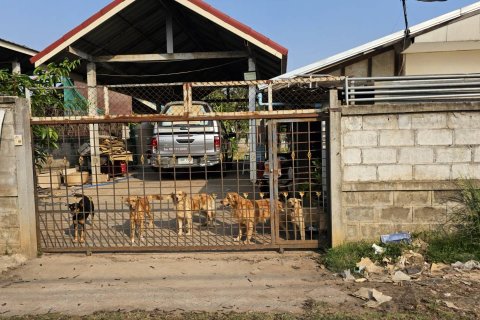 Terrain à Khon Kaen, Thaïlande 840 m2 № 173318 - photo 2