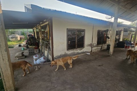 Terrain à Khon Kaen, Thaïlande 840 m2 № 173318 - photo 6