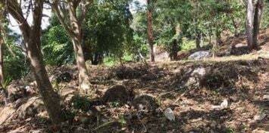 Земельный участок в Кату, Таиланд 62400м2  № 139663