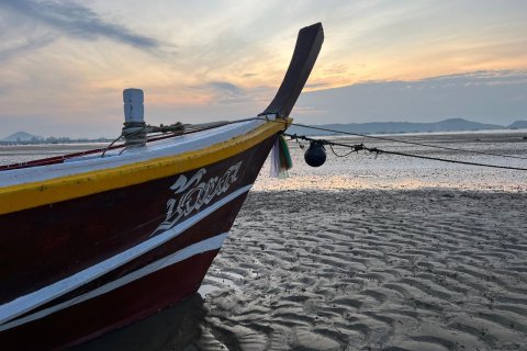 Terrain à Phuket, Thaïlande 474.4 m2 № 135528 - photo 6